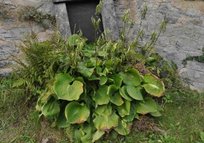 Marek Zdeněk, Větrovská Barbora, 2016