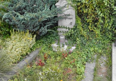 Marek Zdeněk, Větrovská Barbora, 2016