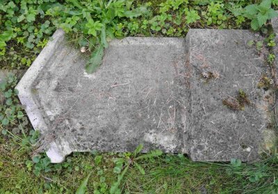 Marek Zdeněk, Větrovská Barbora, 2016