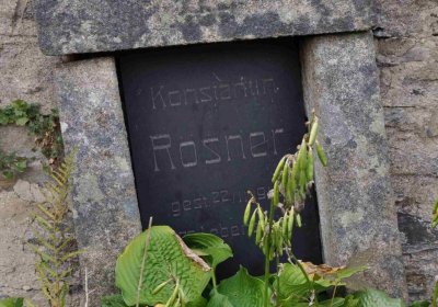 Marek Zdeněk, Větrovská Barbora, 2016