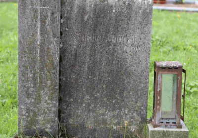 Marek Zdeněk, Větrovská Barbora, 2016