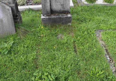 Marek Zdeněk, Větrovská Barbora, 2016