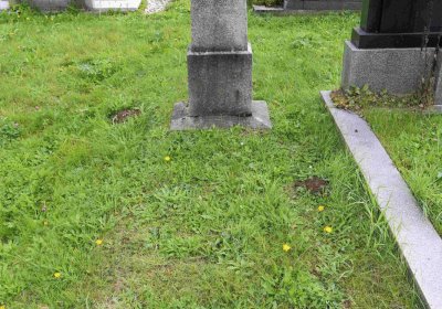 Marek Zdeněk, Větrovská Barbora, 2016