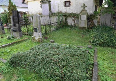 Marek Zdeněk, Větrovská Barbora, 2016