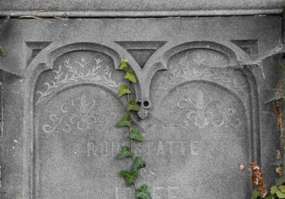 Marek Zdeněk, Větrovská Barbora, 2016