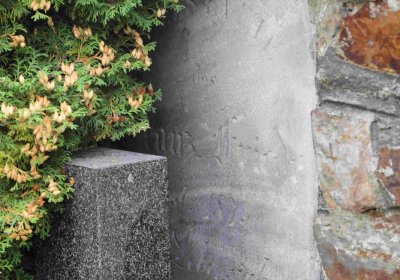 Marek Zdeněk, Větrovská Barbora, 2016