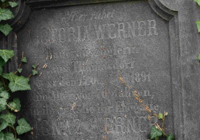 Marek Zdeněk, Větrovská Barbora, 2016