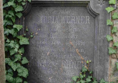 Marek Zdeněk, Větrovská Barbora, 2016