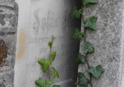 Marek Zdeněk, Větrovská Barbora, 2016