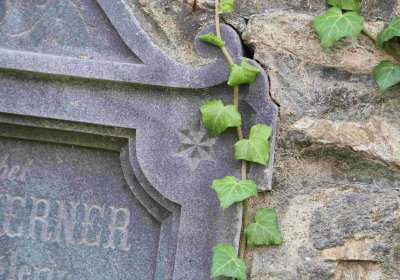 Marek Zdeněk, Větrovská Barbora, 2016