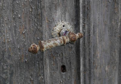 Marek Zdeněk, Větrovská Barbora, 2016