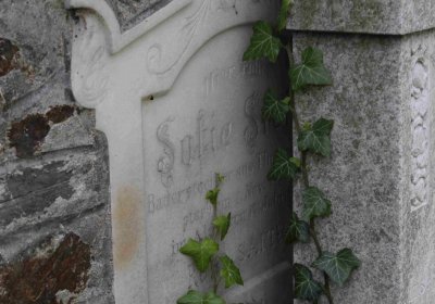 Marek Zdeněk, Větrovská Barbora, 2016