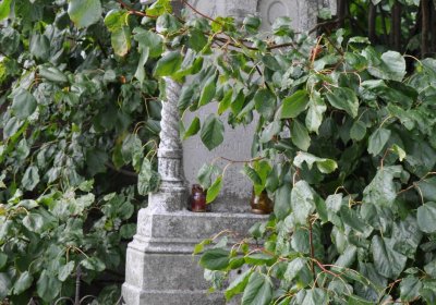 Marek Zdeněk, Větrovská Barbora, 2016