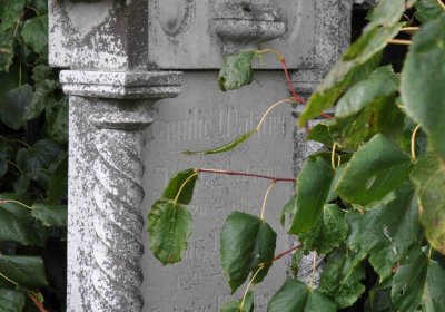 Marek Zdeněk, Větrovská Barbora, 2016