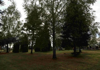 Marek Zdeněk, Větrovská Barbora, 2016