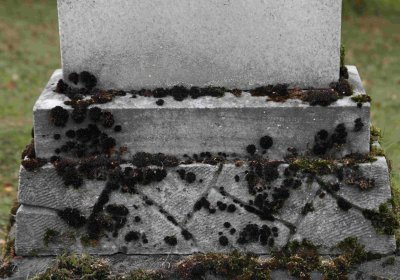 Marek Zdeněk, Větrovská Barbora, 2016