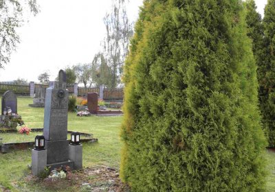 Marek Zdeněk, Větrovská Barbora, 2016