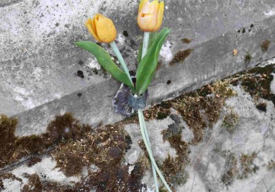 Marek Zdeněk, Větrovská Barbora, 2016