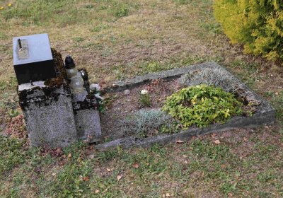 Marek Zdeněk, Větrovská Barbora, 2016