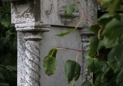 Marek Zdeněk, Větrovská Barbora, 2016