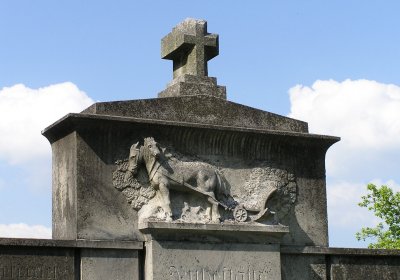 Pulkrtová Eva, 2014