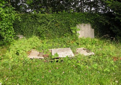 Pulkrtová Eva, 2009